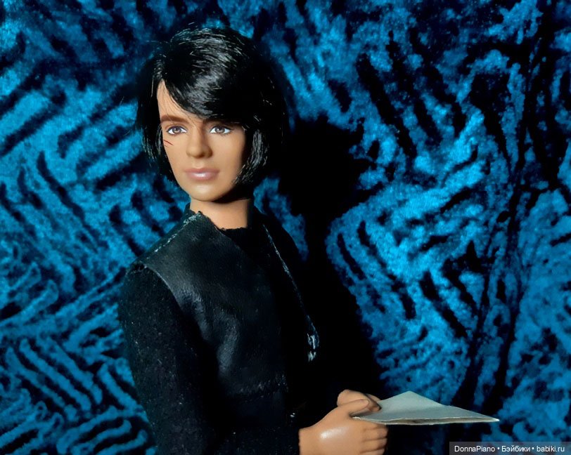 Собственность Принца-полукровки