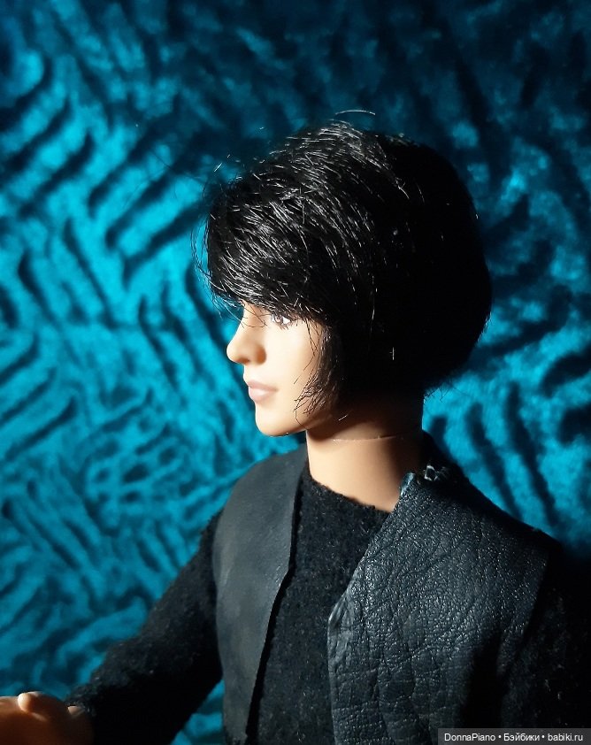 Собственность Принца-полукровки