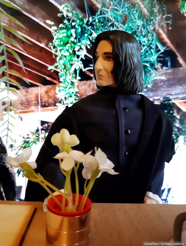 Секрет живых асфоделей — Кукольные фотоистории и сериалы: комиксы