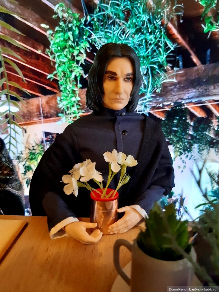 Секрет живых асфоделей — Кукольные фотоистории и сериалы: комиксы