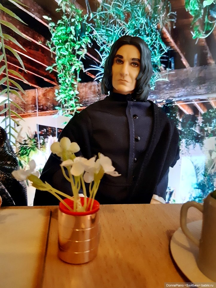 Секрет живых асфоделей — Кукольные фотоистории и сериалы: комиксы