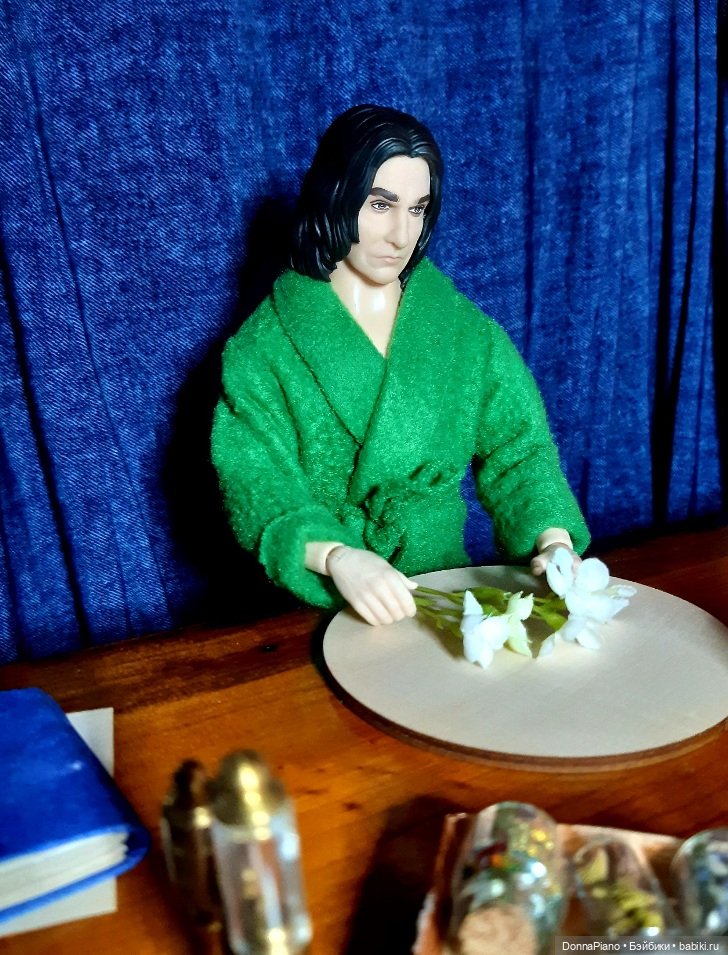 Колючий привет — Кукольные фотоистории и сериалы: комиксы