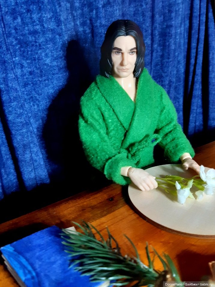 Колючий привет — Кукольные фотоистории и сериалы: комиксы