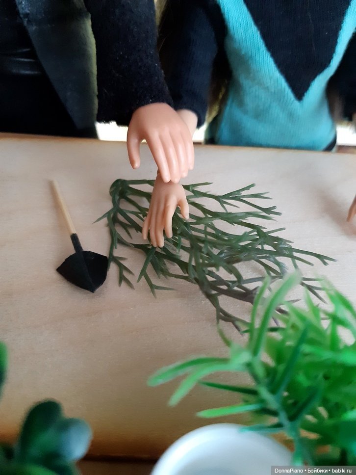 О мандрагорах и других растениях