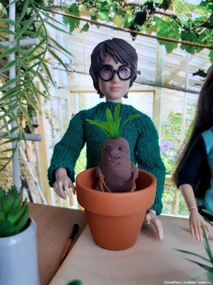 О мандрагорах и других растениях