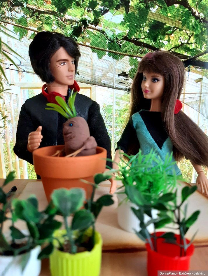 О мандрагорах и других растениях