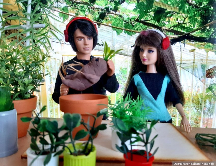 О мандрагорах и других растениях