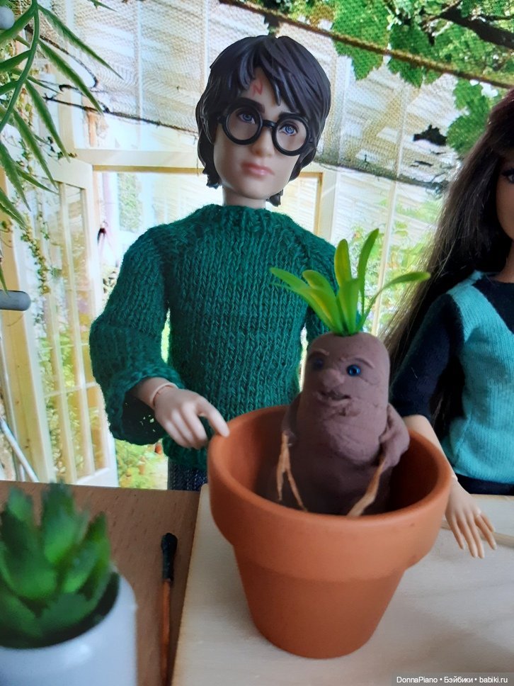 О мандрагорах и других растениях