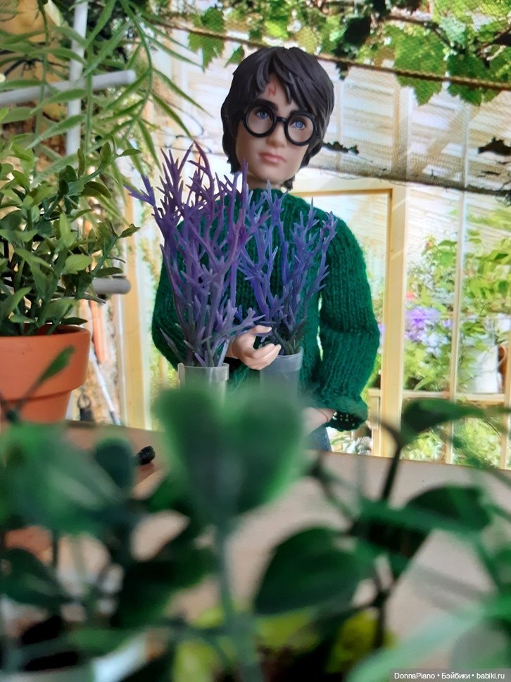 О мандрагорах и других растениях