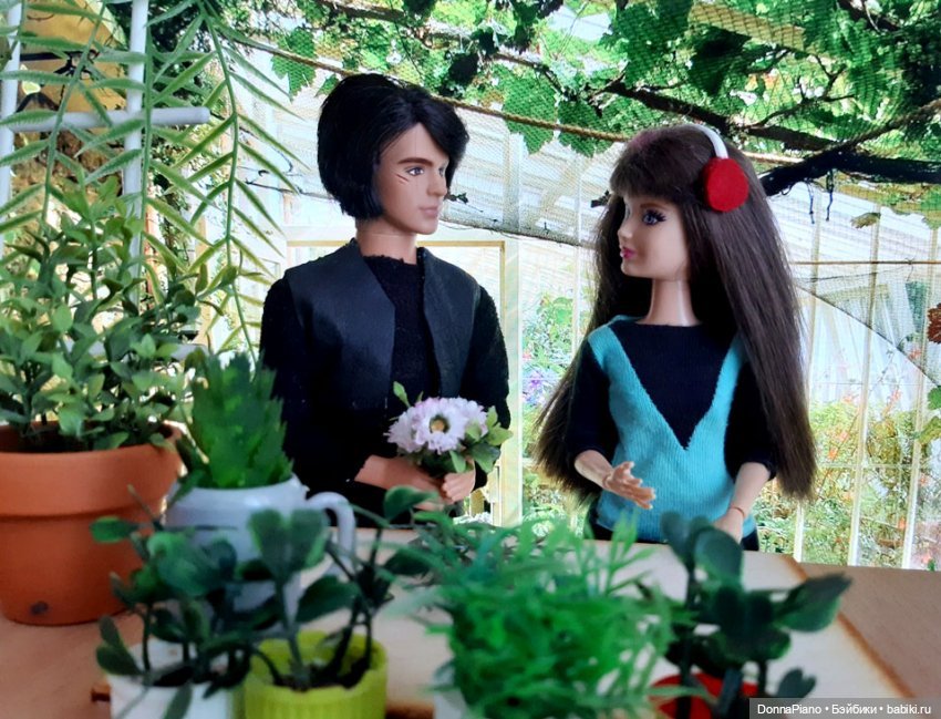 О мандрагорах и других растениях