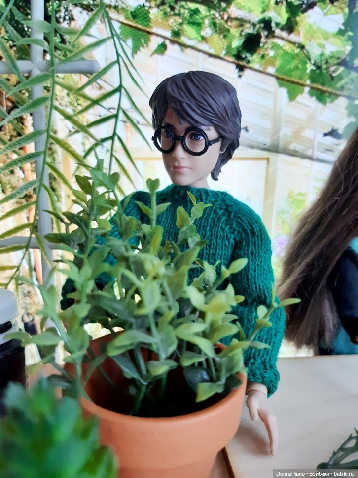 О мандрагорах и других растениях