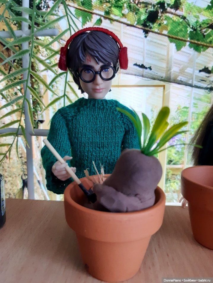 О мандрагорах и других растениях (фото 4)