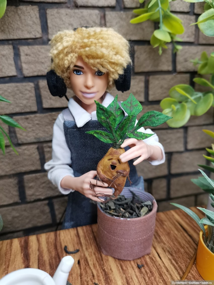 О мандрагорах и других растениях (фото 7)