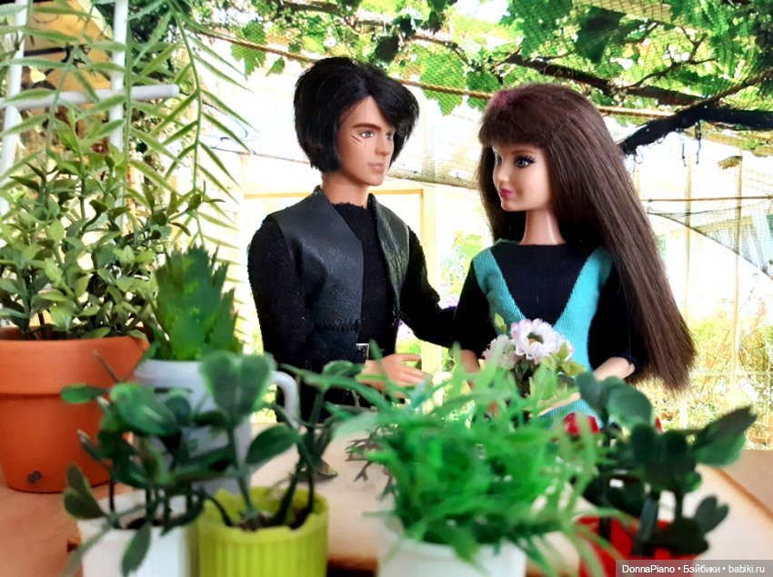 О мандрагорах и других растениях