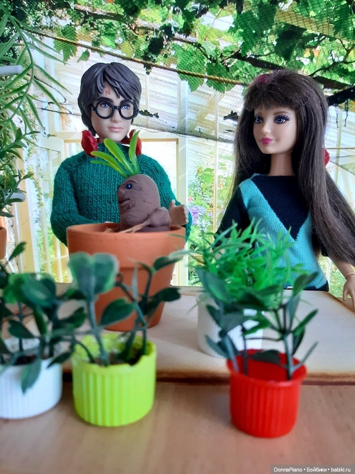 О мандрагорах и других растениях (фото 6)