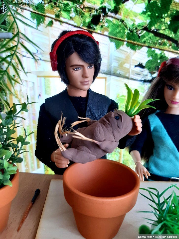 О мандрагорах и других растениях