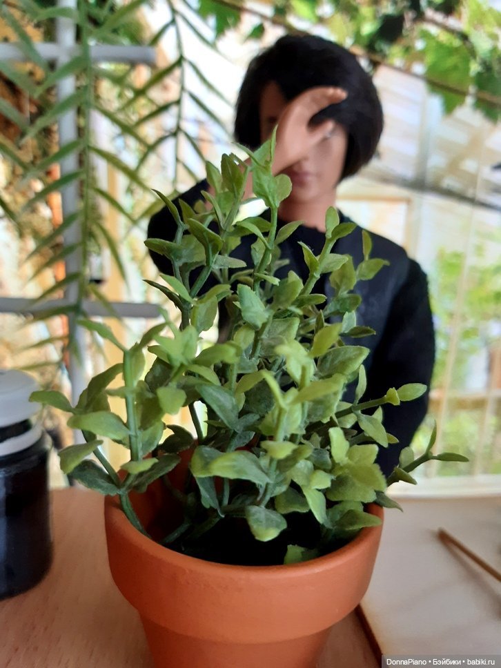 О мандрагорах и других растениях