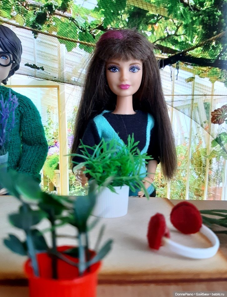 О мандрагорах и других растениях