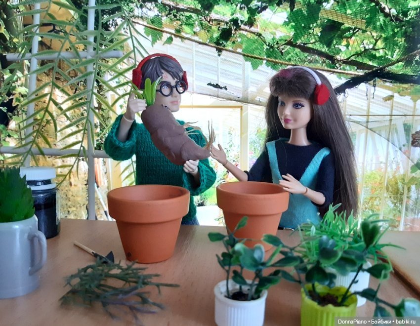 О мандрагорах и других растениях (фото 5)