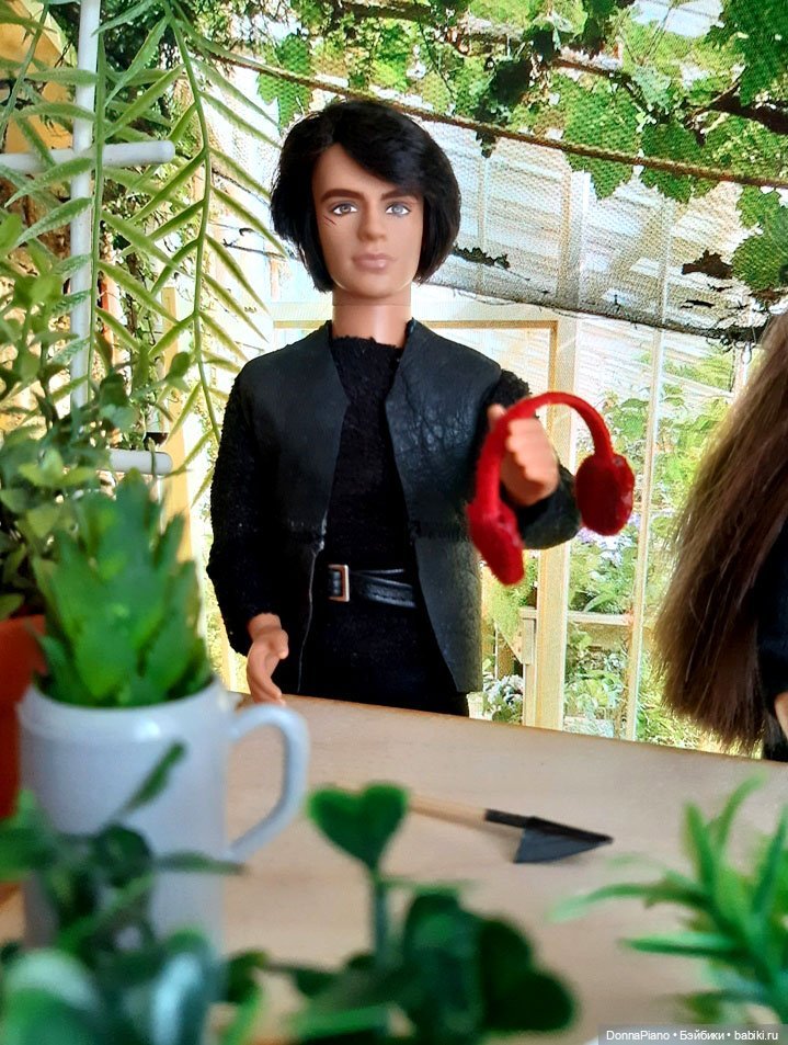 О мандрагорах и других растениях