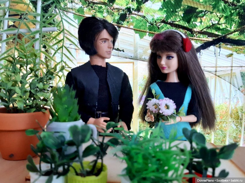 О мандрагорах и других растениях