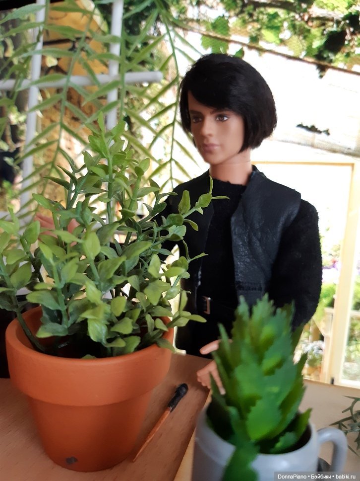 О мандрагорах и других растениях