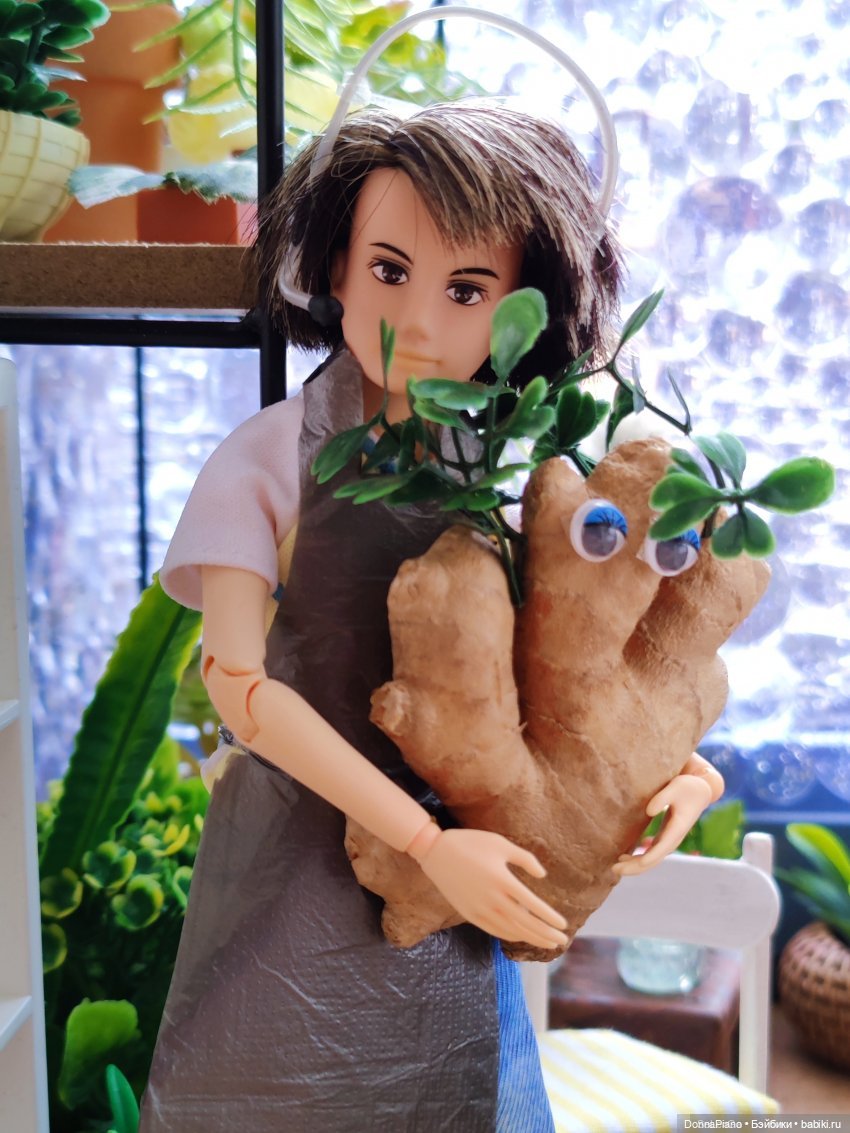 О мандрагорах и других растениях