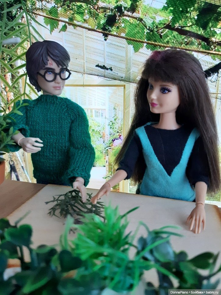 О мандрагорах и других растениях (фото 3)