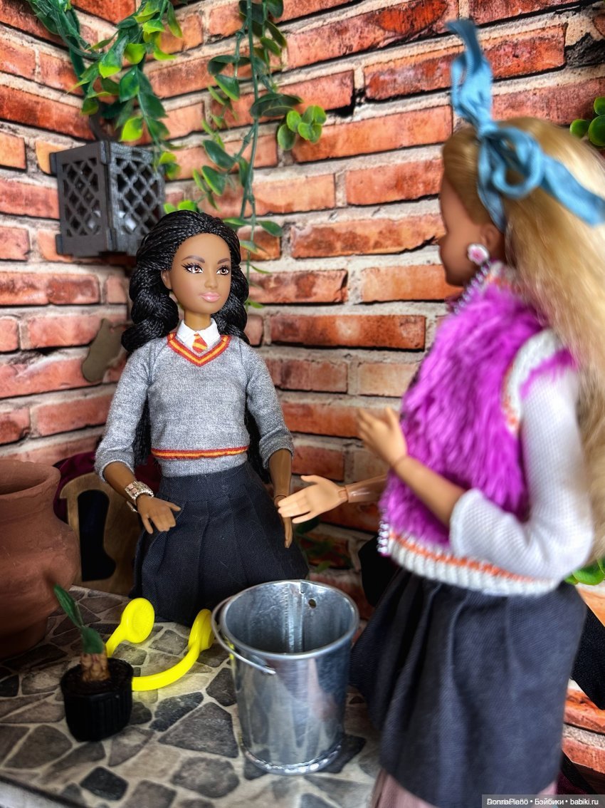 О мандрагорах и других растениях