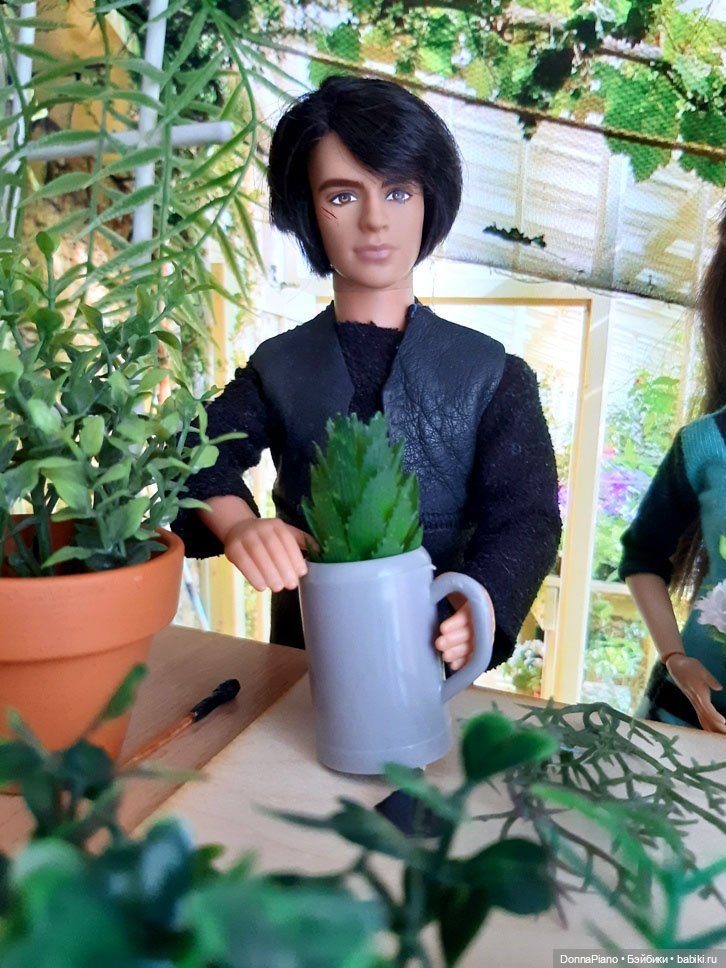 О мандрагорах и других растениях