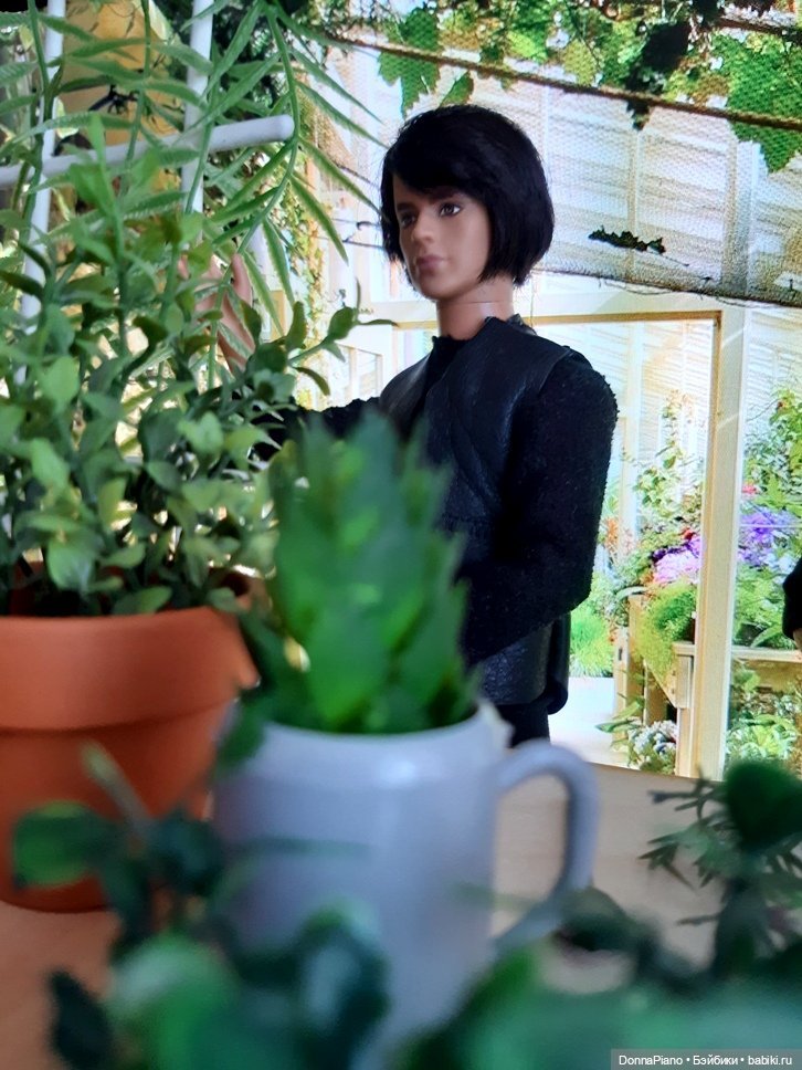 О мандрагорах и других растениях