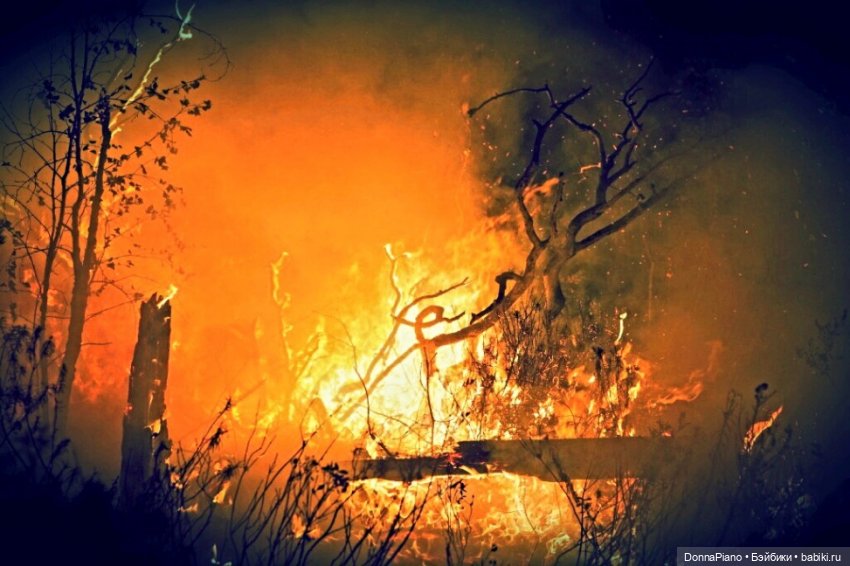 Время, слёзы и раны — Кукольные фотоистории и сериалы: комиксы