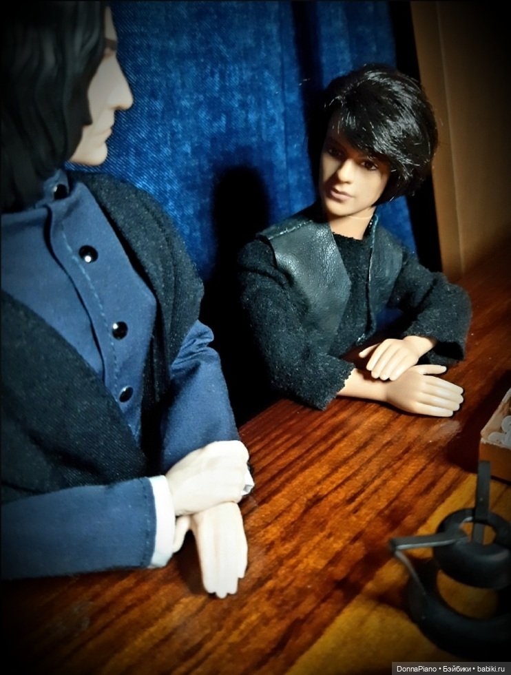 Тайна Принца-полукровки — Кукольные фотоистории и сериалы: комиксы