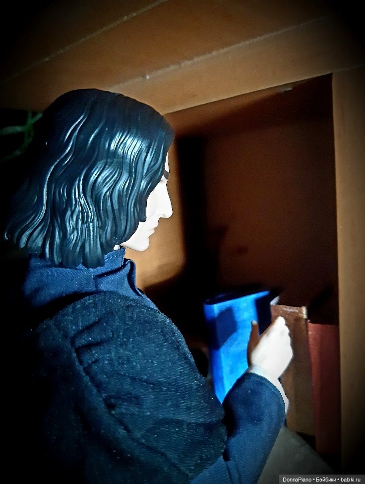 Тайна Принца-полукровки — Кукольные фотоистории и сериалы: комиксы (фото 9)