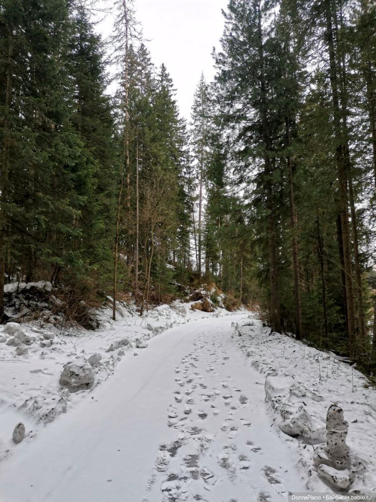Враги и проявители | Бэйбики Враги и проявители — Кукольные фотоистории и сериалы: комиксы (фото 2)