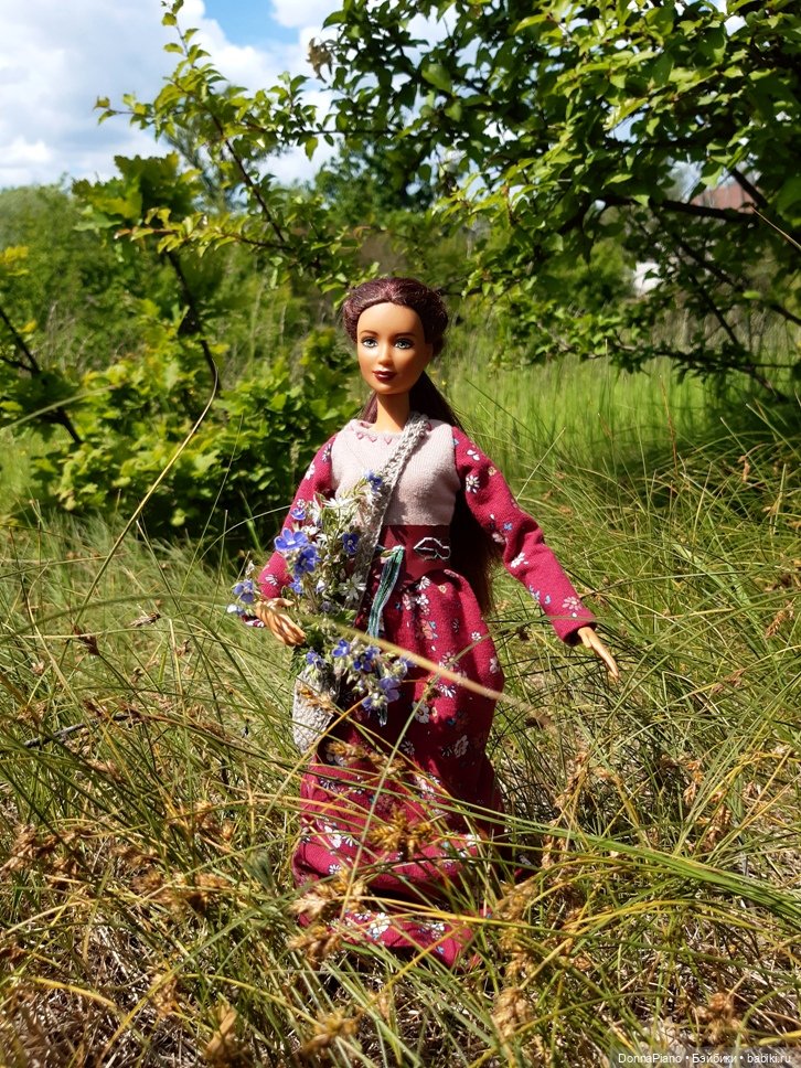 Практический сбор трав. АНОНС (фото 3)