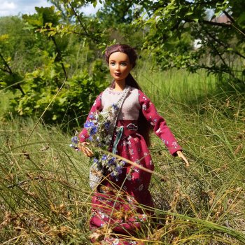 Летний сбор магических трав и грибов