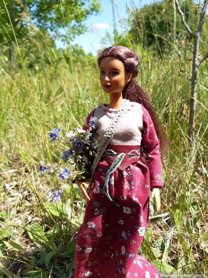 Летний сбор магических трав и грибов