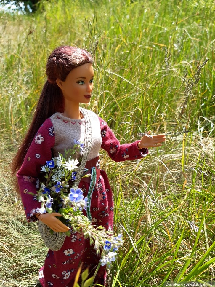 Летний сбор магических трав и грибов (фото 9)