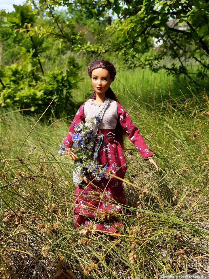 Летний сбор магических трав и грибов (фото 6)