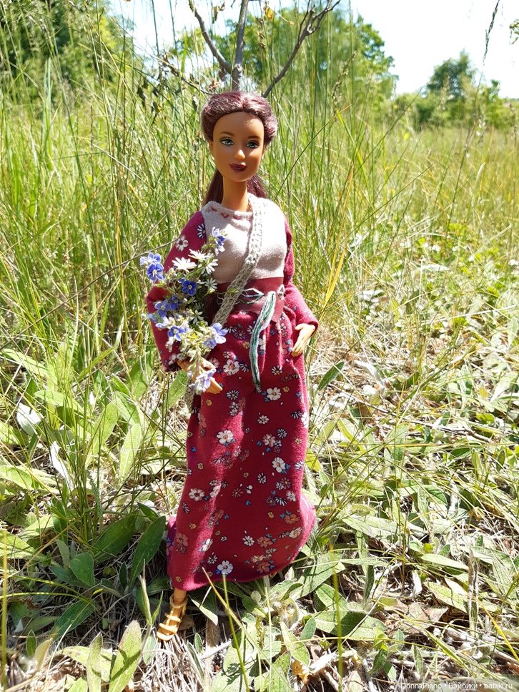 Летний сбор магических трав и грибов