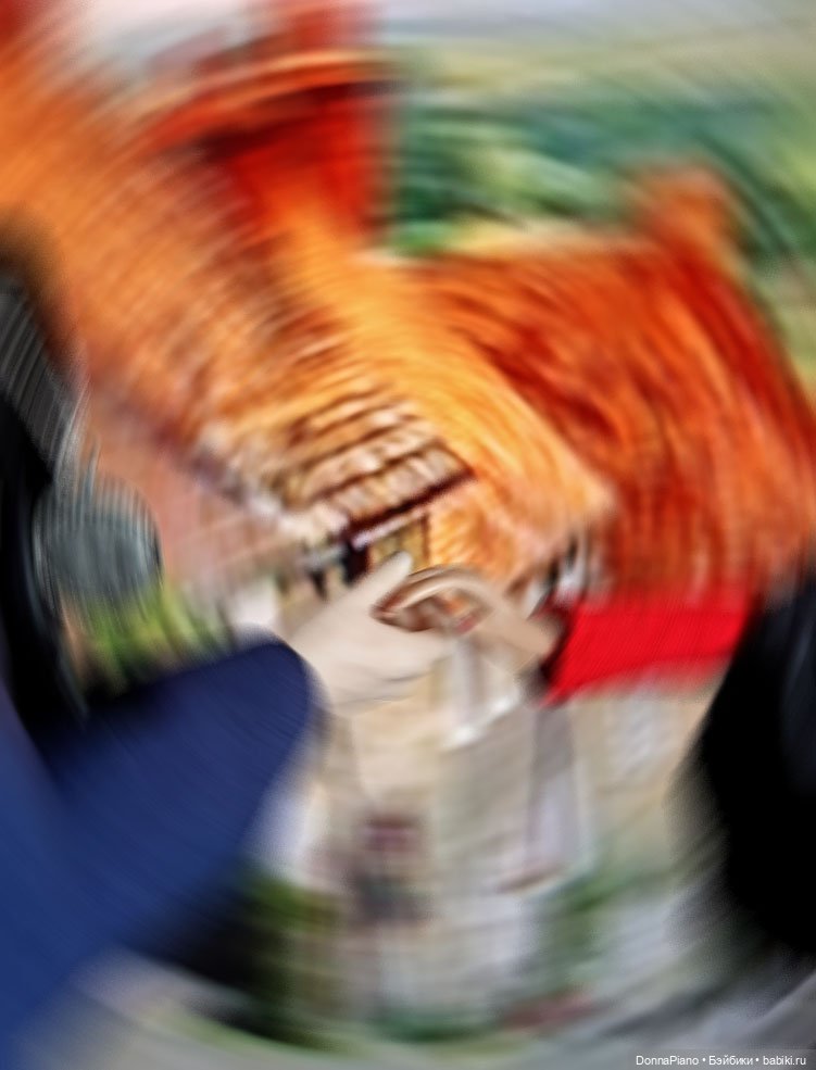 Все дороги ведут в Ландсхут (фото 7)