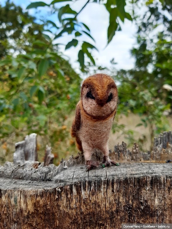 Магический интенсив-курс (УТОЧНЕНИЕ)