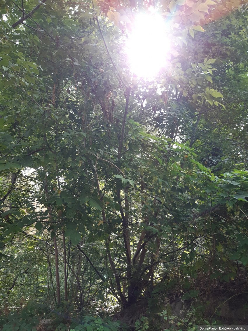 Встреча в лесу — Кукольные фотоистории и сериалы: комиксы (фото 2)