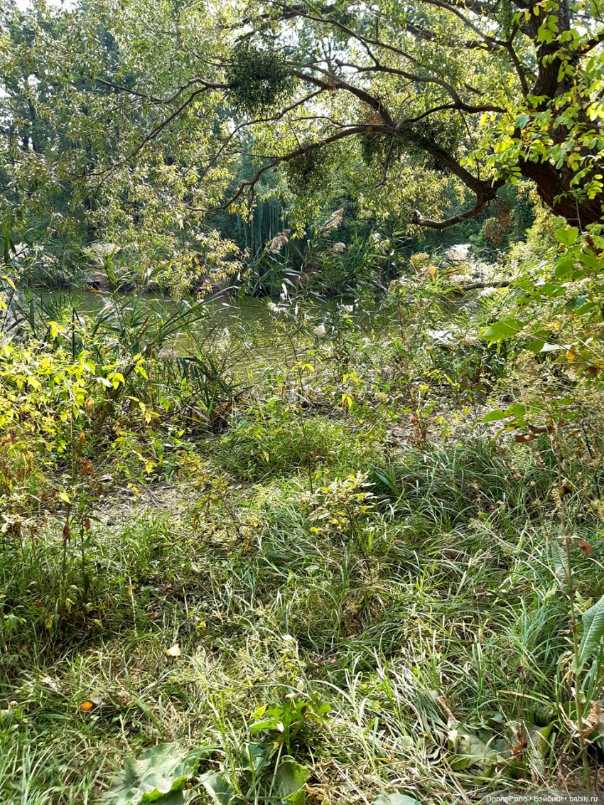 Встреча в лесу — Кукольные фотоистории и сериалы: комиксы (фото 3)