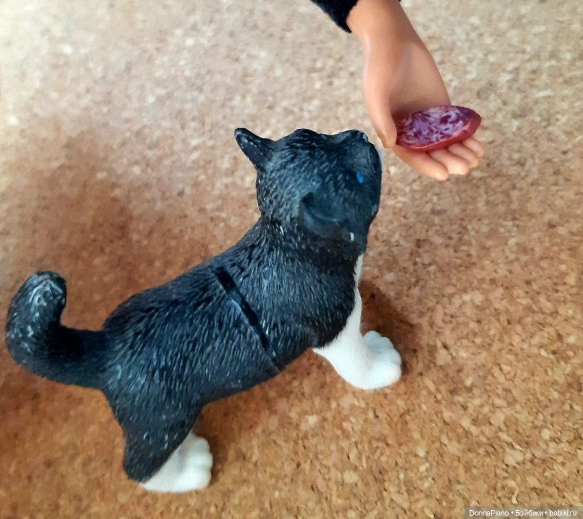 Диаваль в гостях у Руса — Кукольные фотоистории и сериалы: комиксы