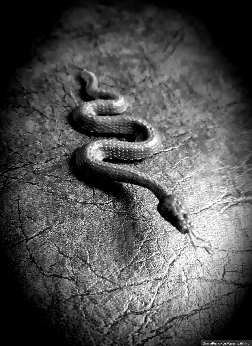 НУАР. Подземное царство Слизерина (фото 6)