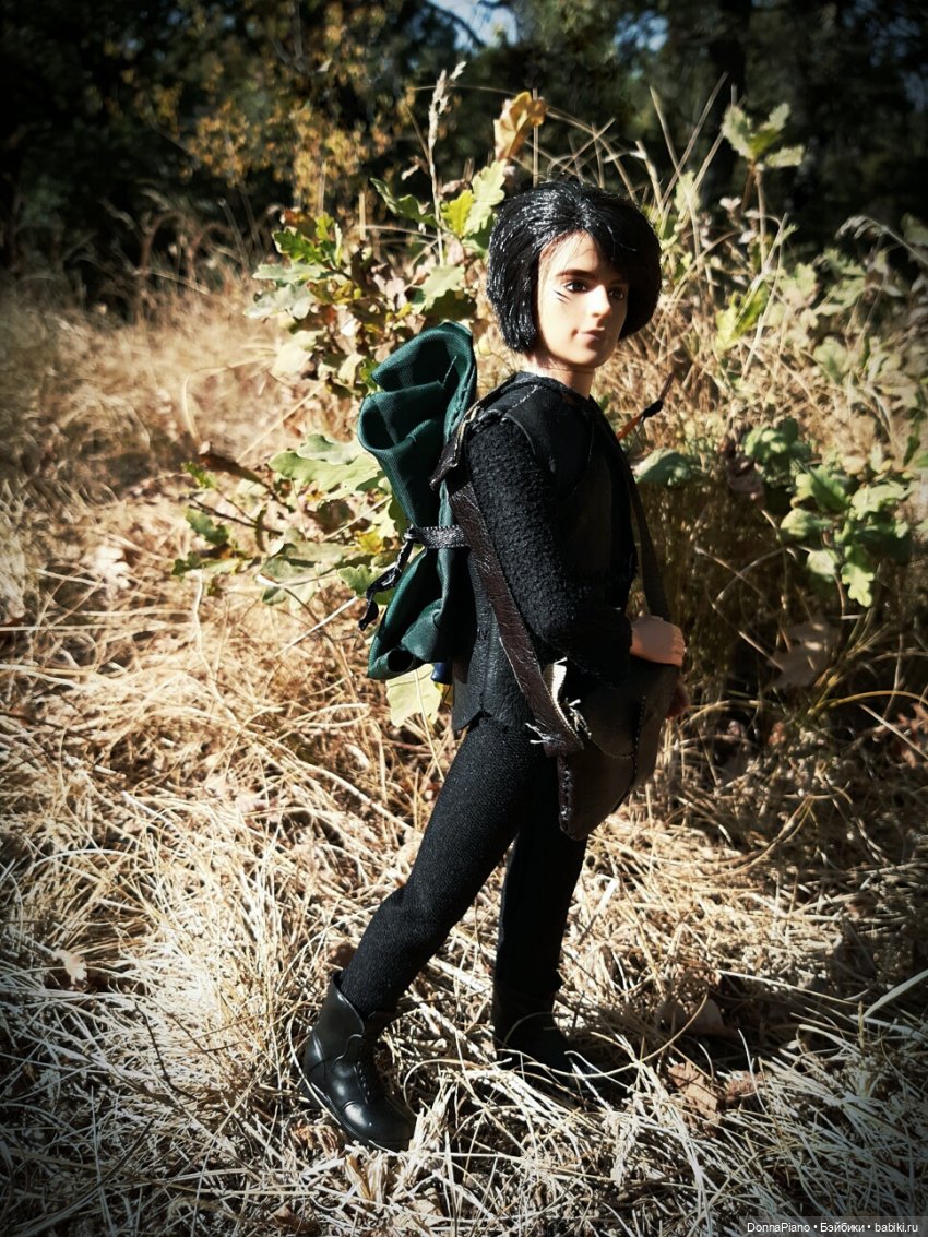 Диаваль в гостях у Руса — Кукольные фотоистории и сериалы: комиксы