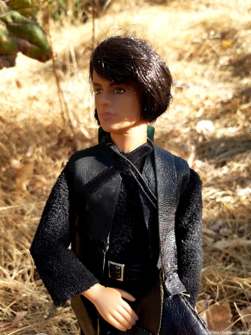 Диаваль в гостях у Руса — Кукольные фотоистории и сериалы: комиксы