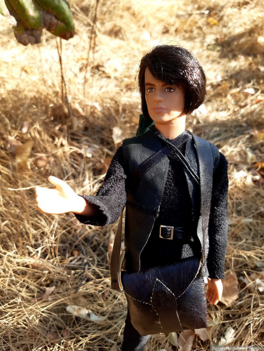 Диаваль в гостях у Руса — Кукольные фотоистории и сериалы: комиксы